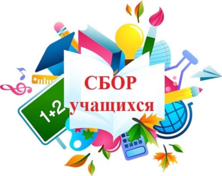 Общий сбор обучающихся перед новым 2024/2025 учебным годом.